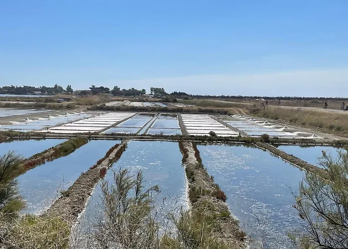 Сasa de vacaciones Chai Réthais En Pierres Sainte-Marie-de-Ré